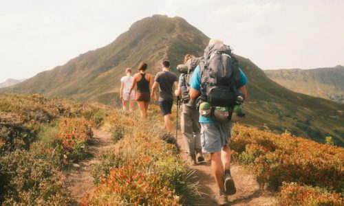 benjamin-chambon-zO0le9E7Ono-unsplash (1) benjamin-chambon-zO0le9E7Ono-unsplash (1)